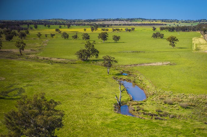 59 Mia Mia Road, Purlewaugh, NSW, 2357 - Image 1