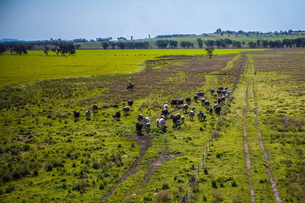 59 Mia Mia Road, Purlewaugh, NSW, 2357 - Image 5