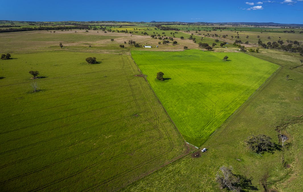 59 Mia Mia Road, Purlewaugh, NSW, 2357 - Image 4