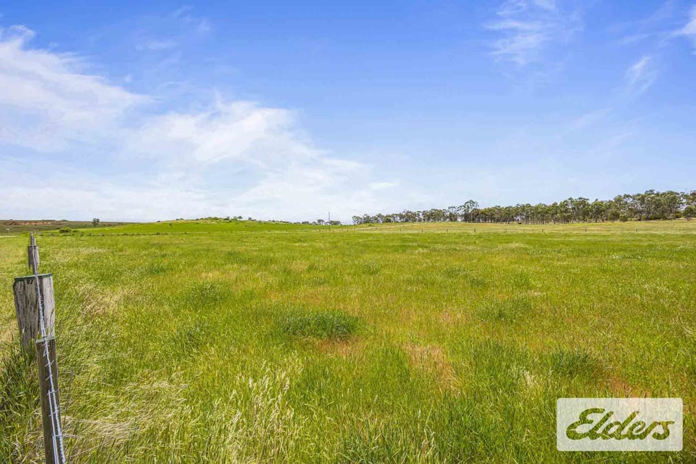 142 Talbot Road, Majorca, VIC, 3465 - Image 11