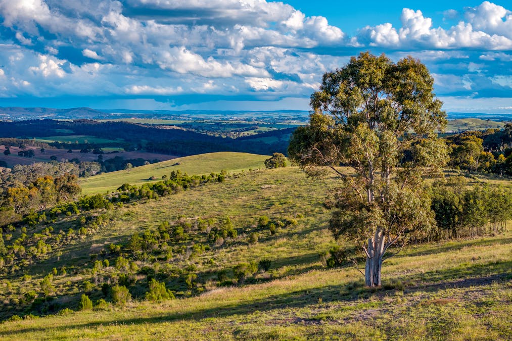 1452 Crookwell Road, Kingsdale, NSW, 2580 - Image 16