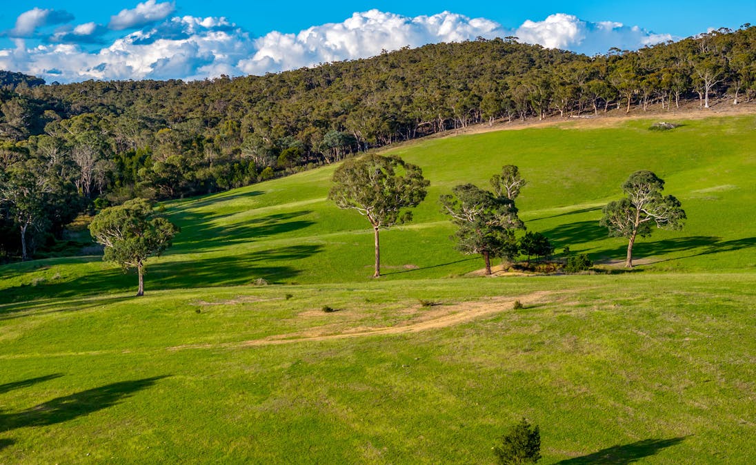 1452 Crookwell Road, Kingsdale, NSW, 2580 - Image 7