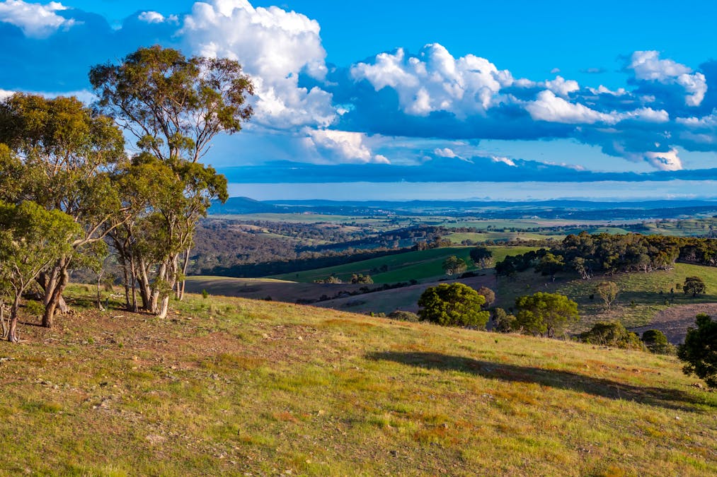 1452 Crookwell Road, Kingsdale, NSW, 2580 - Image 22