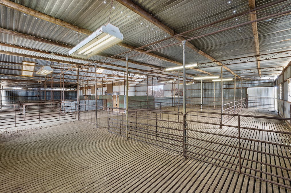 844 Turners Well Road, Perponda, SA, 5308 - Image 8