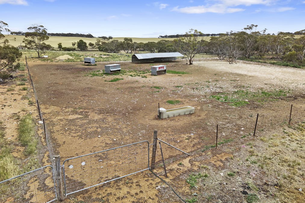 844 Turners Well Road, Perponda, SA, 5308 - Image 13