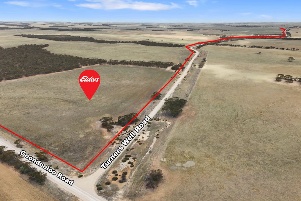 844 Turners Well Road, Perponda, SA, 5308 - Image 15