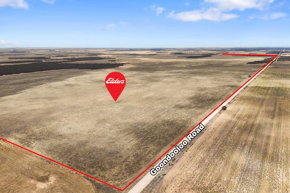 844 Turners Well Road, Perponda, SA, 5308 - Image 16