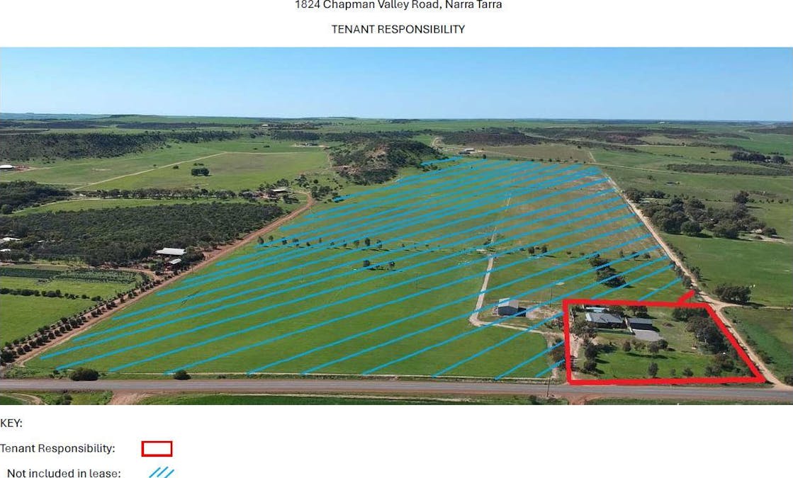 1824 Chapman Valley Road, Narra Tarra, WA, 6532 - Image 1