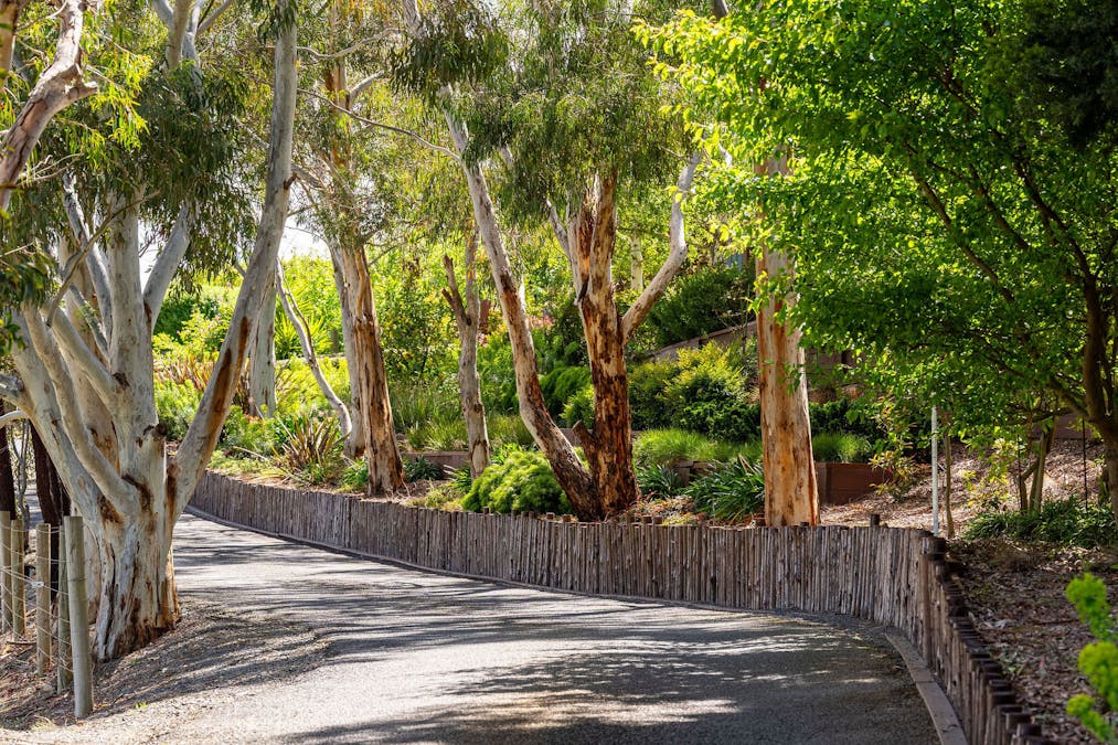 115 Swann Road, Alexandra, VIC, 3714 - Image 4