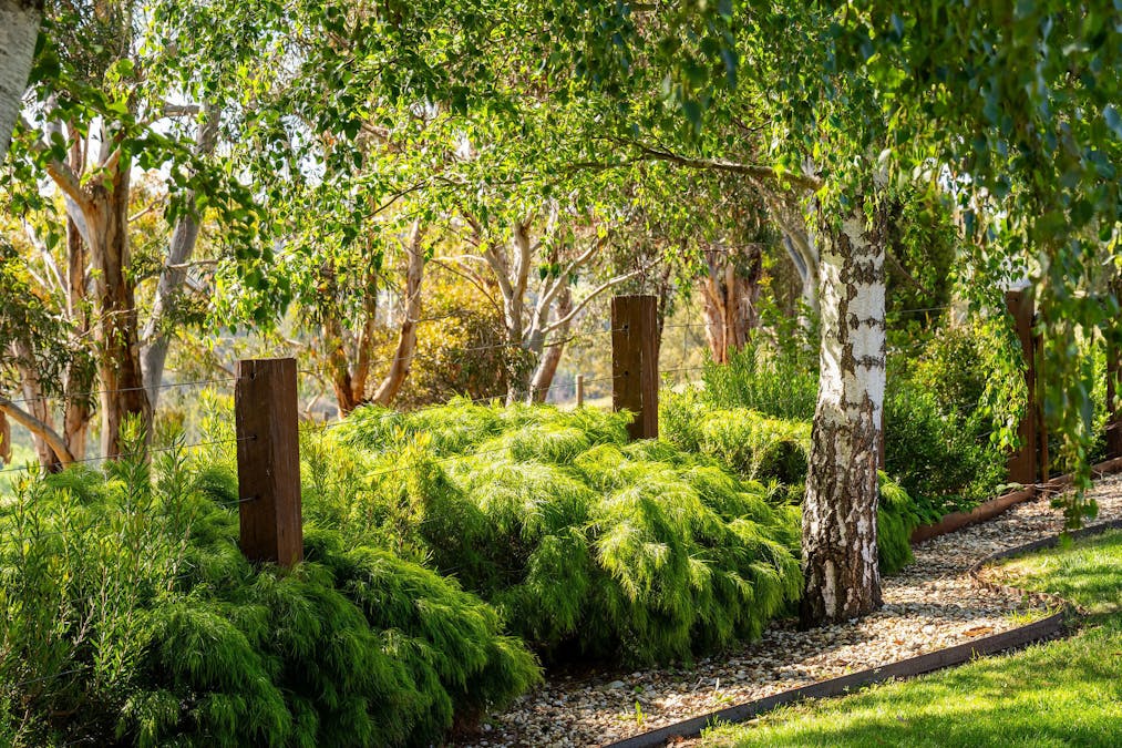 115 Swann Road, Alexandra, VIC, 3714 - Image 18