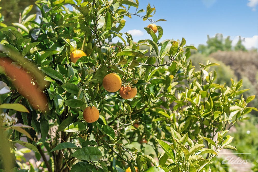 36 Stockyard Hill Road, Delamere, SA, 5204 - Image 33