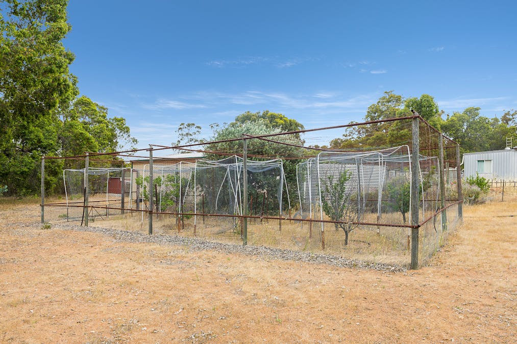 41 Red Gum Circle, Coondle, WA, 6566 - Image 22