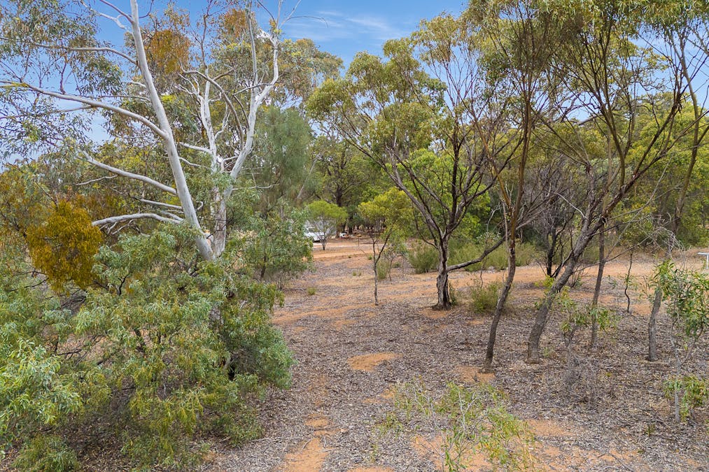 41 Red Gum Circle, Coondle, WA, 6566 - Image 27