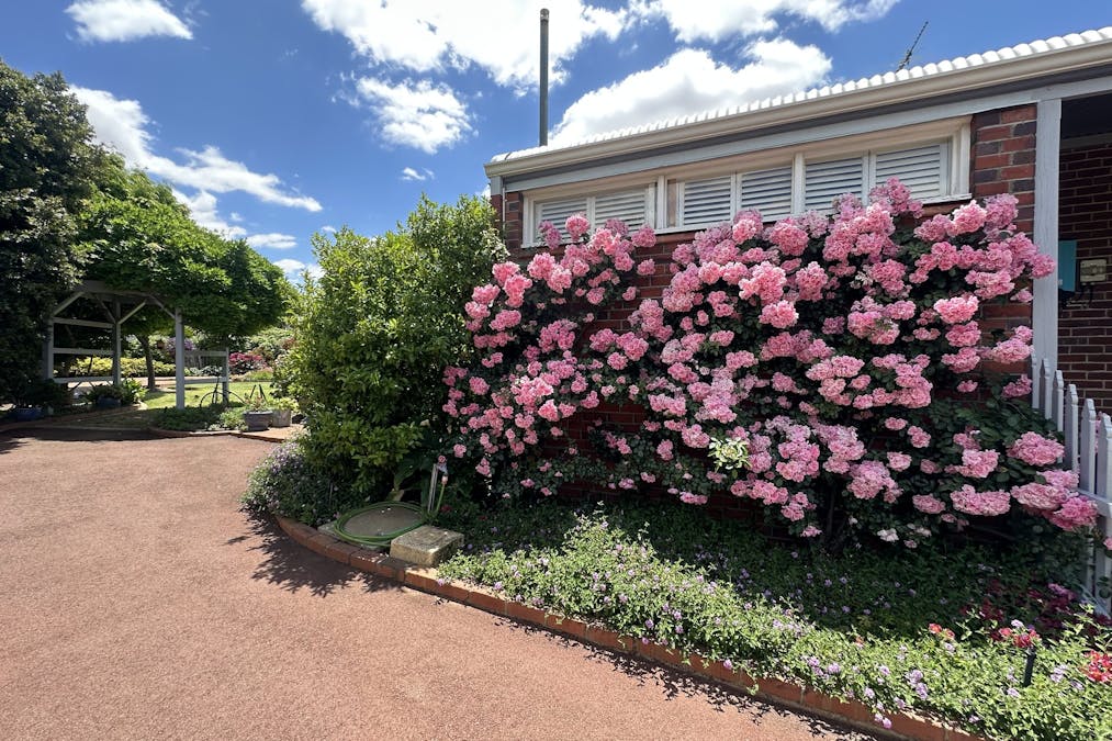 7 Ware Street, Wagin, WA, 6315 - Image 5