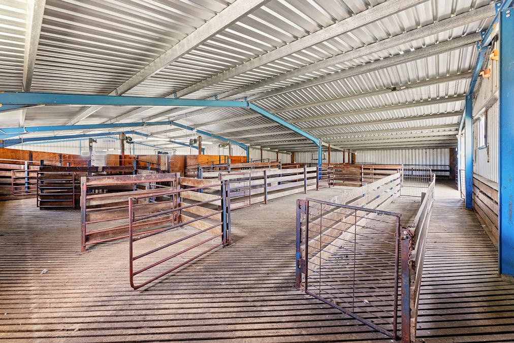 193 Lucernvale Road, Yass, NSW, 2582 - Image 6