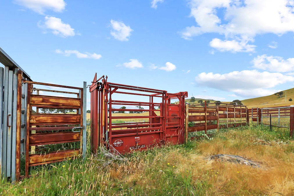 193 Lucernvale Road, Yass, NSW, 2582 - Image 7