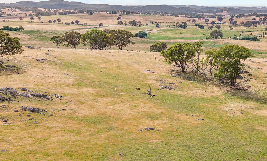 193 Lucernvale Road, Yass, NSW, 2582 - Image 16