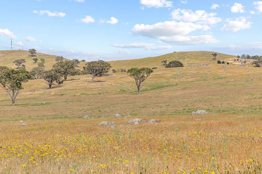 193 Lucernvale Road, Yass, NSW, 2582 - Image 25