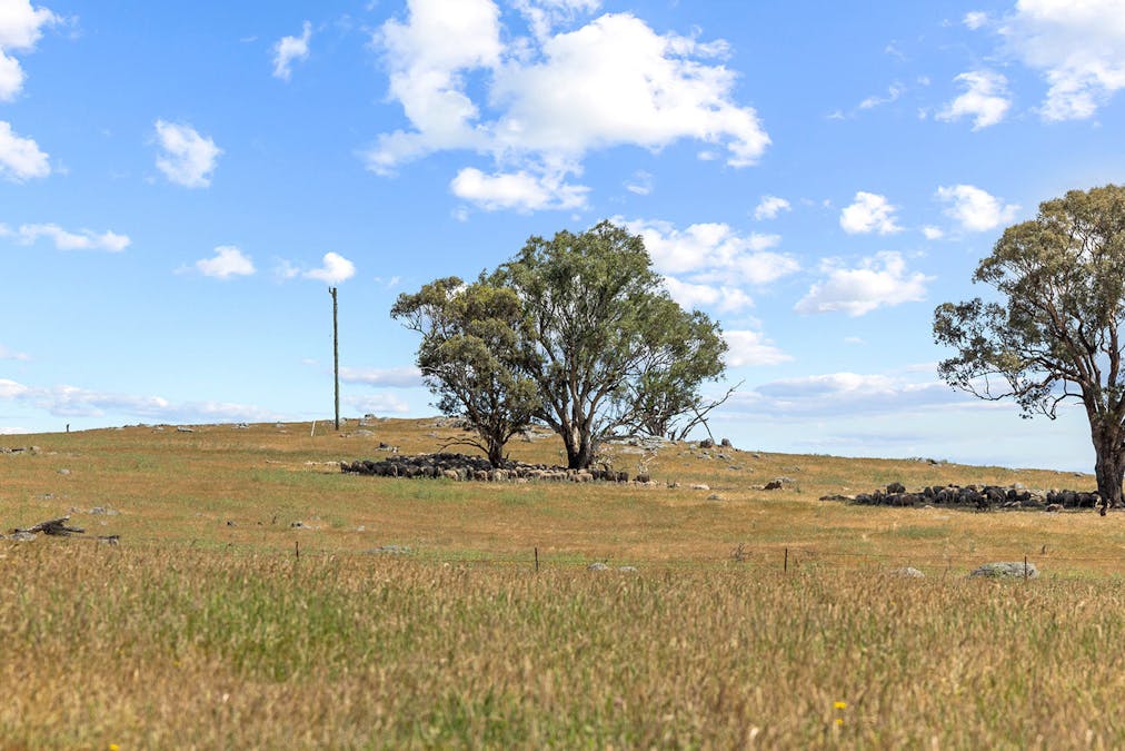 193 Lucernvale Road, Yass, NSW, 2582 - Image 26