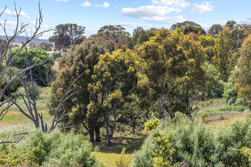 193 Lucernvale Road, Yass, NSW, 2582 - Image 28