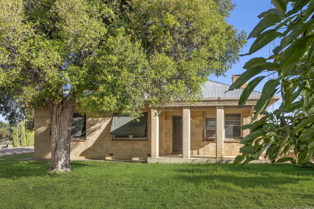 11 Benlow Road, Waikerie, SA, 5330 - Image 4