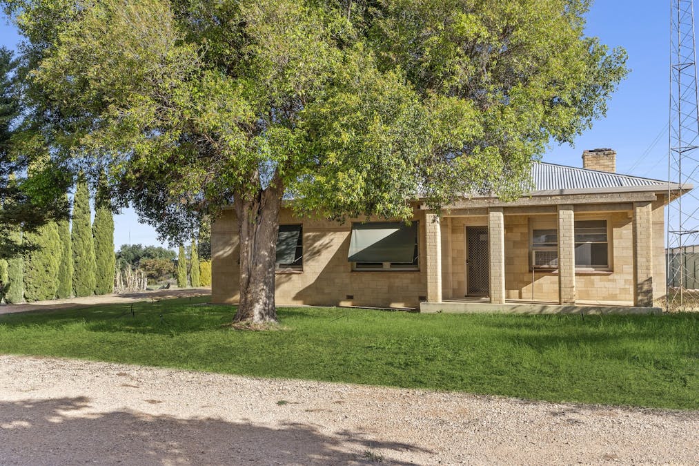 11 Benlow Road, Waikerie, SA, 5330 - Image 1