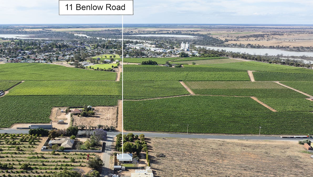 11 Benlow Road, Waikerie, SA, 5330 - Image 11