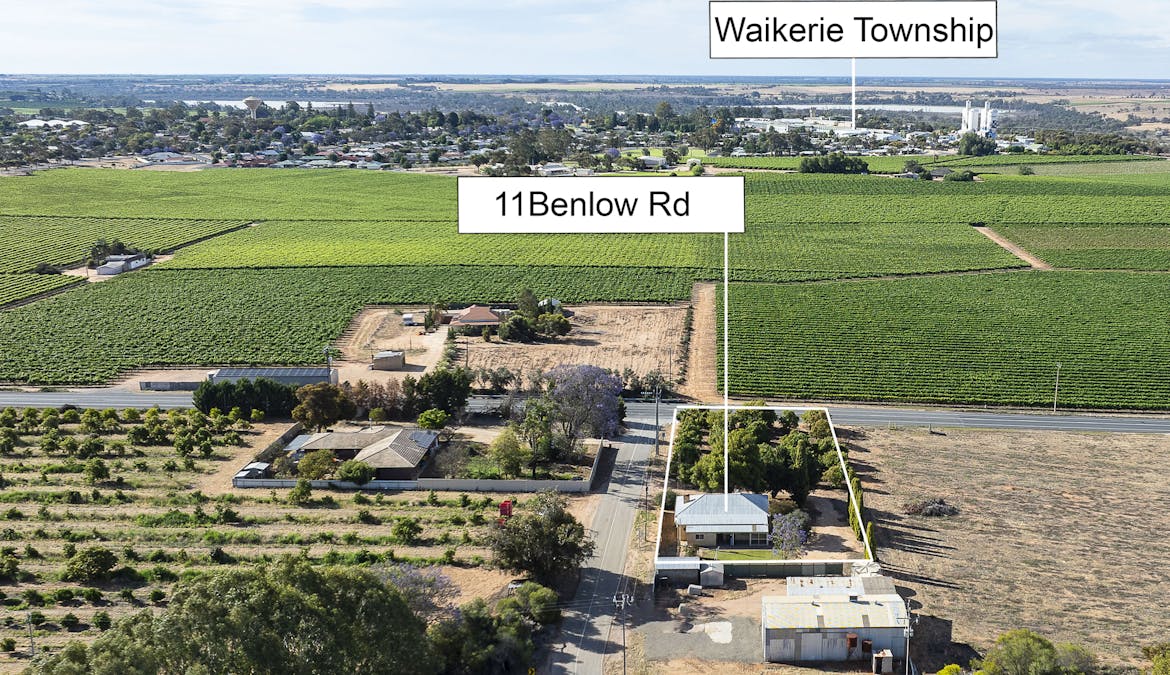 11 Benlow Road, Waikerie, SA, 5330 - Image 3