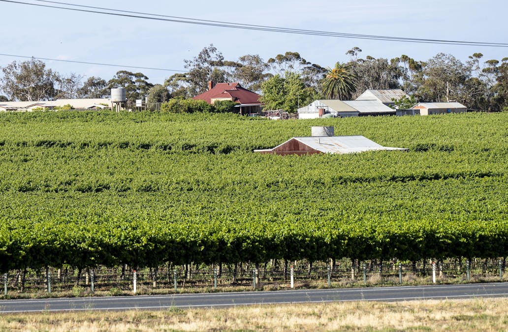 11 Benlow Road, Waikerie, SA, 5330 - Image 9