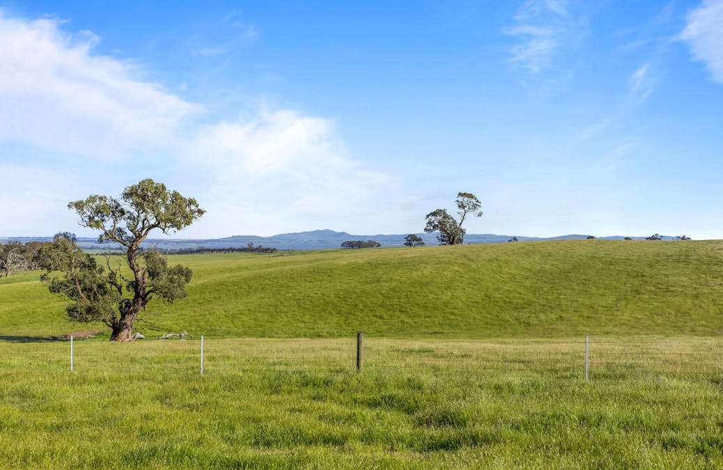- Ballarat-Carngham Road, Bo Peep, VIC, 3351 - Image 8
