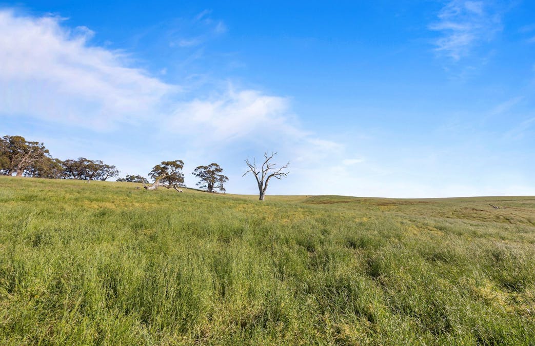 - Ballarat-Carngham Road, Bo Peep, VIC, 3351 - Image 9