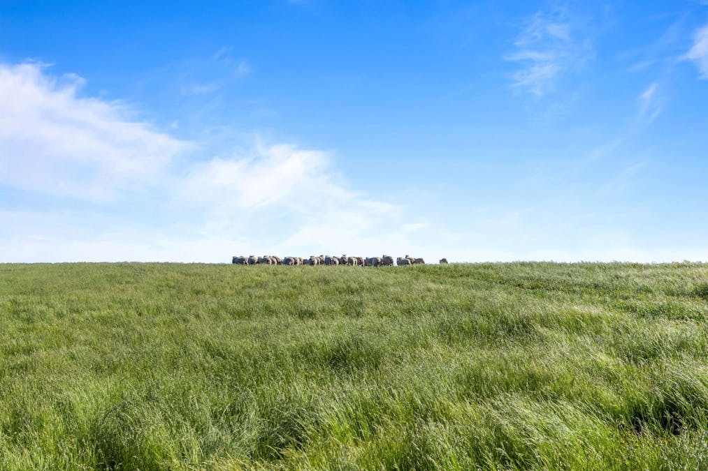 - Ballarat-Carngham Road, Bo Peep, VIC, 3351 - Image 2