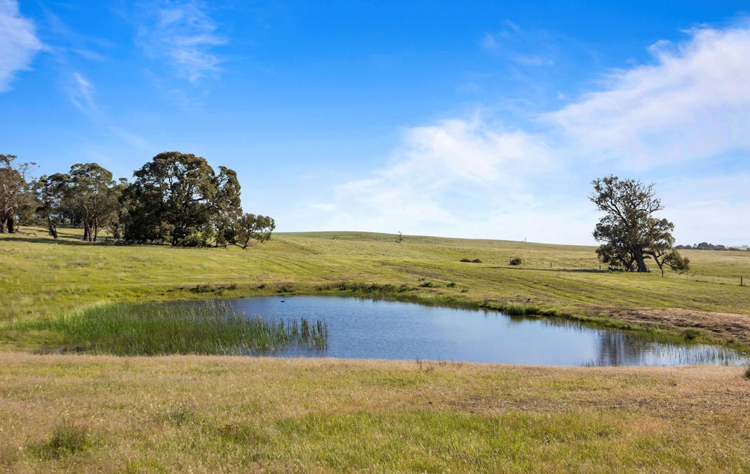 - Ballarat-Carngham Road, Bo Peep, VIC, 3351 - Image 3