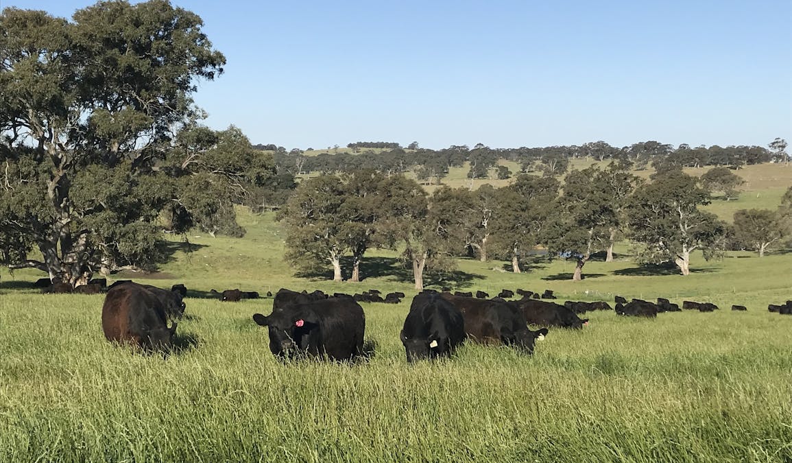 70 Scottsburn Road, Woodside, SA, 5244 - Image 3