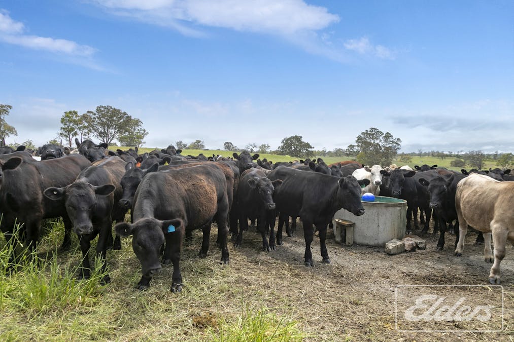 70 Scottsburn Road, Woodside, SA, 5244 - Image 5