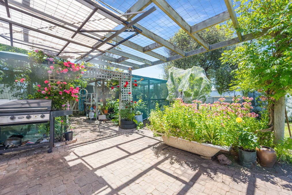 374 Williams Road, Millicent, SA, 5280 - Image 15