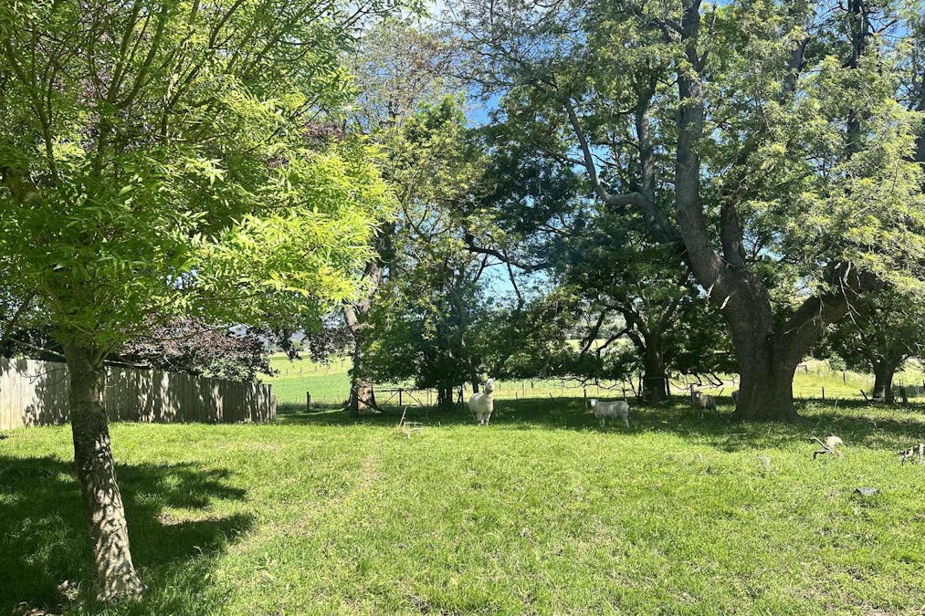 46 Bruthen-Nowa Nowa Road, Bruthen, VIC, 3885 - Image 7