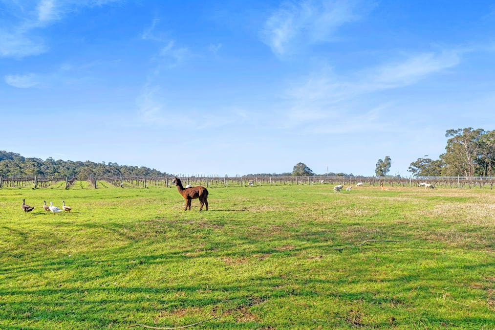 807 Scotsdale Road, Denmark, WA, 6333 - Image 26