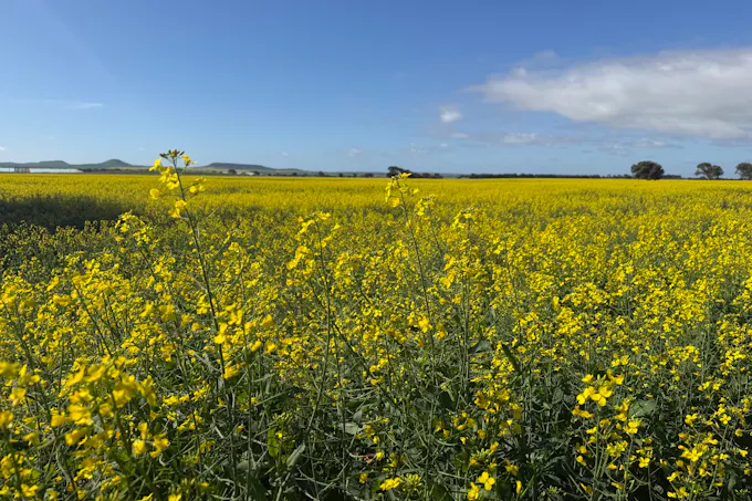 Lot 8  Edward Road, Narngulu, WA, 6532