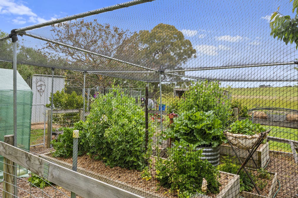 403 Polly McQuinns Road, Strathbogie, VIC, 3666 - Image 25