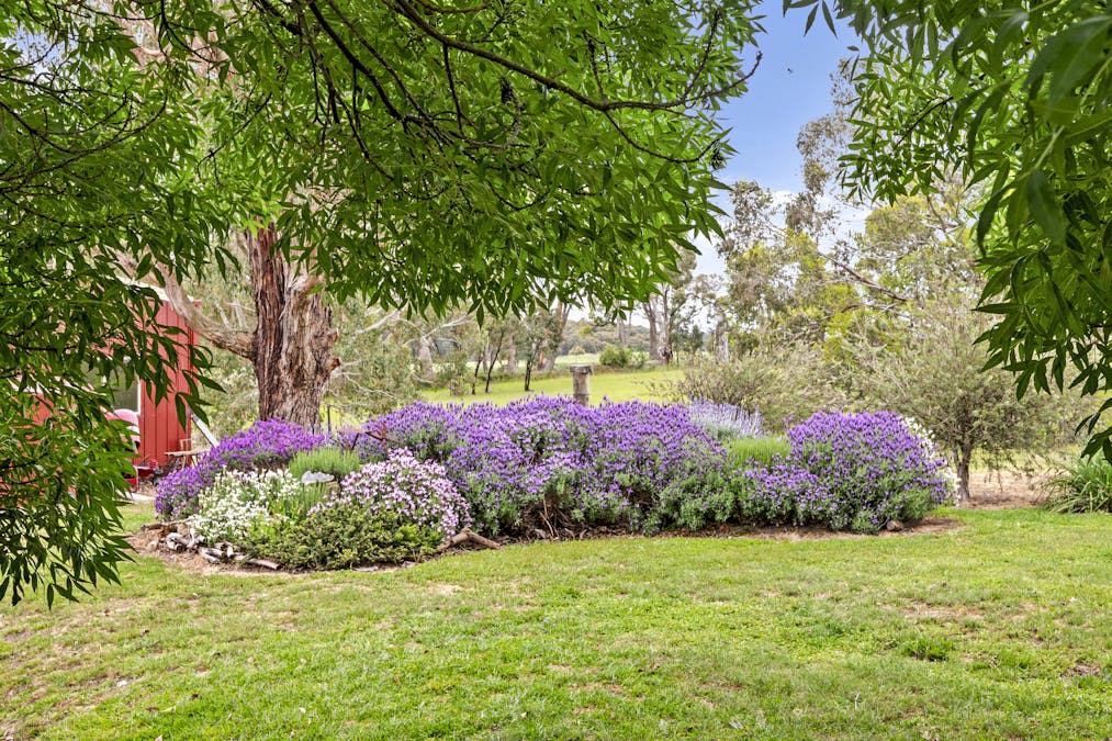 403 Polly McQuinns Road, Strathbogie, VIC, 3666 - Image 24