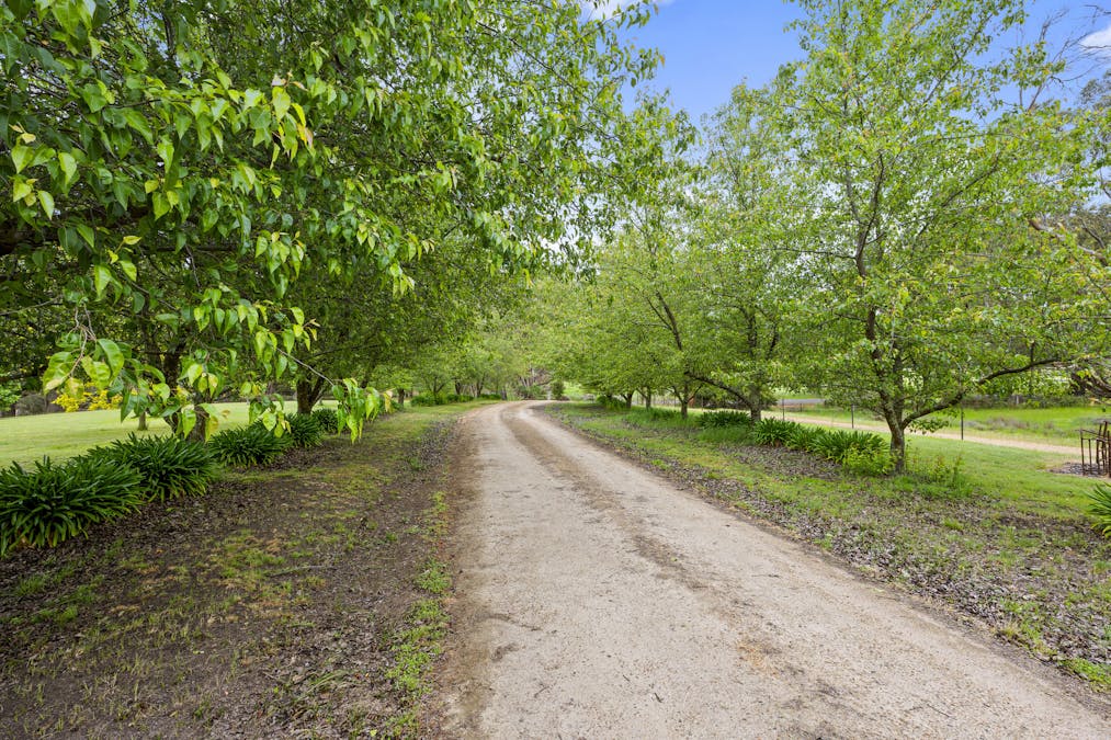 403 Polly McQuinns Road, Strathbogie, VIC, 3666 - Image 28