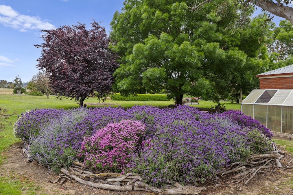 403 Polly McQuinns Road, Strathbogie, VIC, 3666 - Image 27