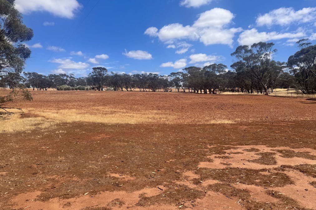 65 Forrest Street, Bolgart, WA, 6568 - Image 2