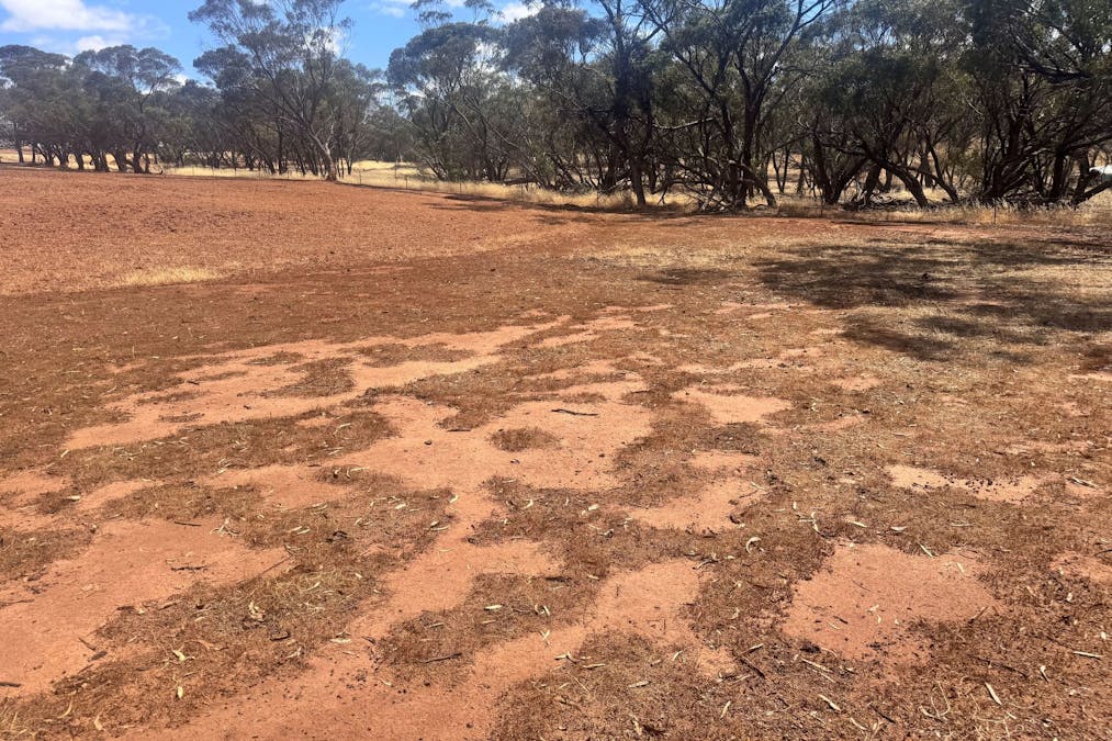 65 Forrest Street, Bolgart, WA, 6568 - Image 3