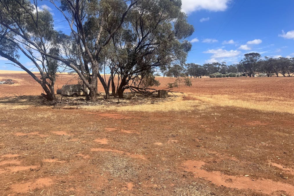 65 Forrest Street, Bolgart, WA, 6568 - Image 4