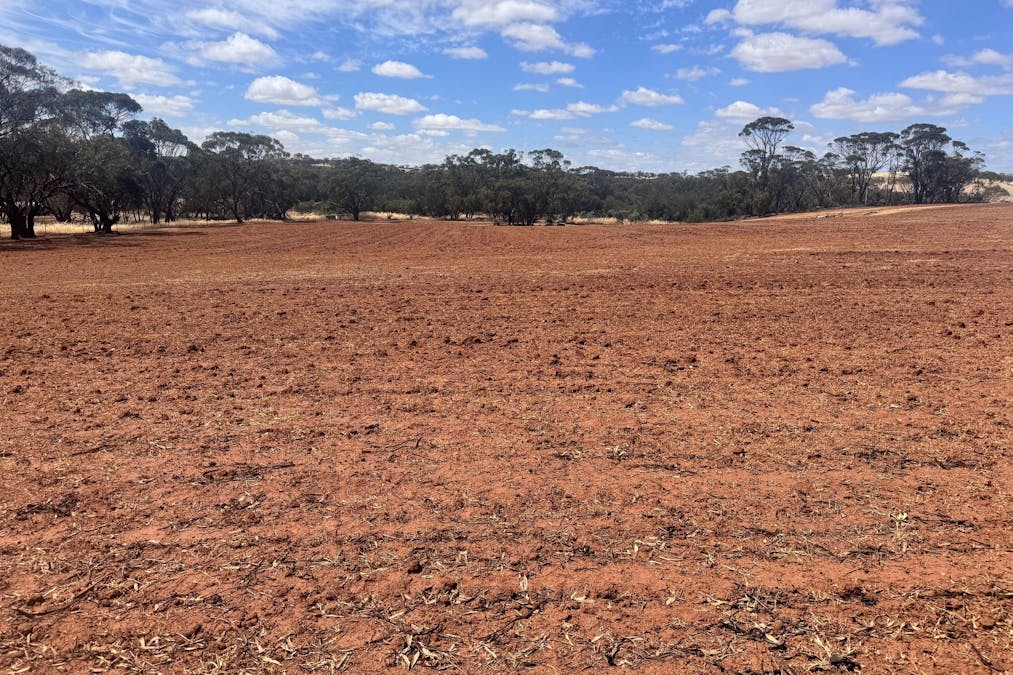 65 Forrest Street, Bolgart, WA, 6568 - Image 5