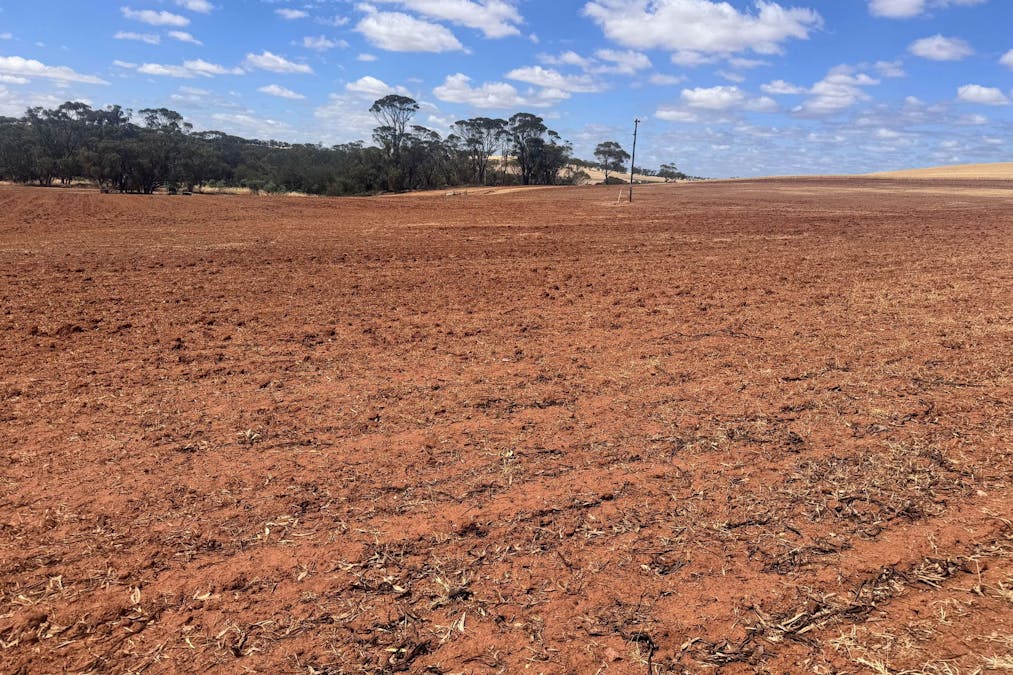 65 Forrest Street, Bolgart, WA, 6568 - Image 6