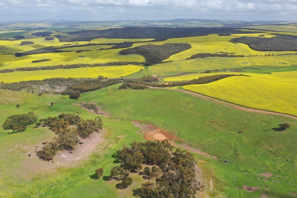 251 Reservoir Drive, Whites Flat, SA, 5607 - Image 12