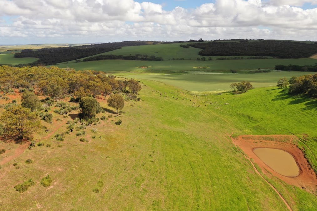 251 Reservoir Drive, Whites Flat, SA, 5607 - Image 6